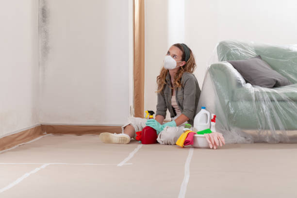 Reliable Mold Remediation contractor in South Fork, PA by WQB Mold Removal